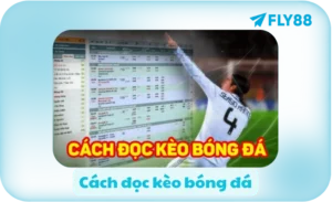 Cách đọc kèo bóng đá